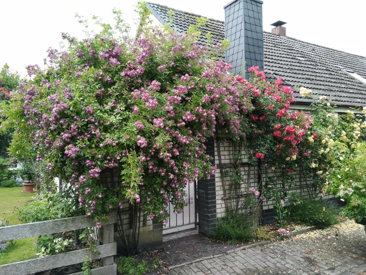 Haus Sielblick Appartement Schillig Buitenkant foto